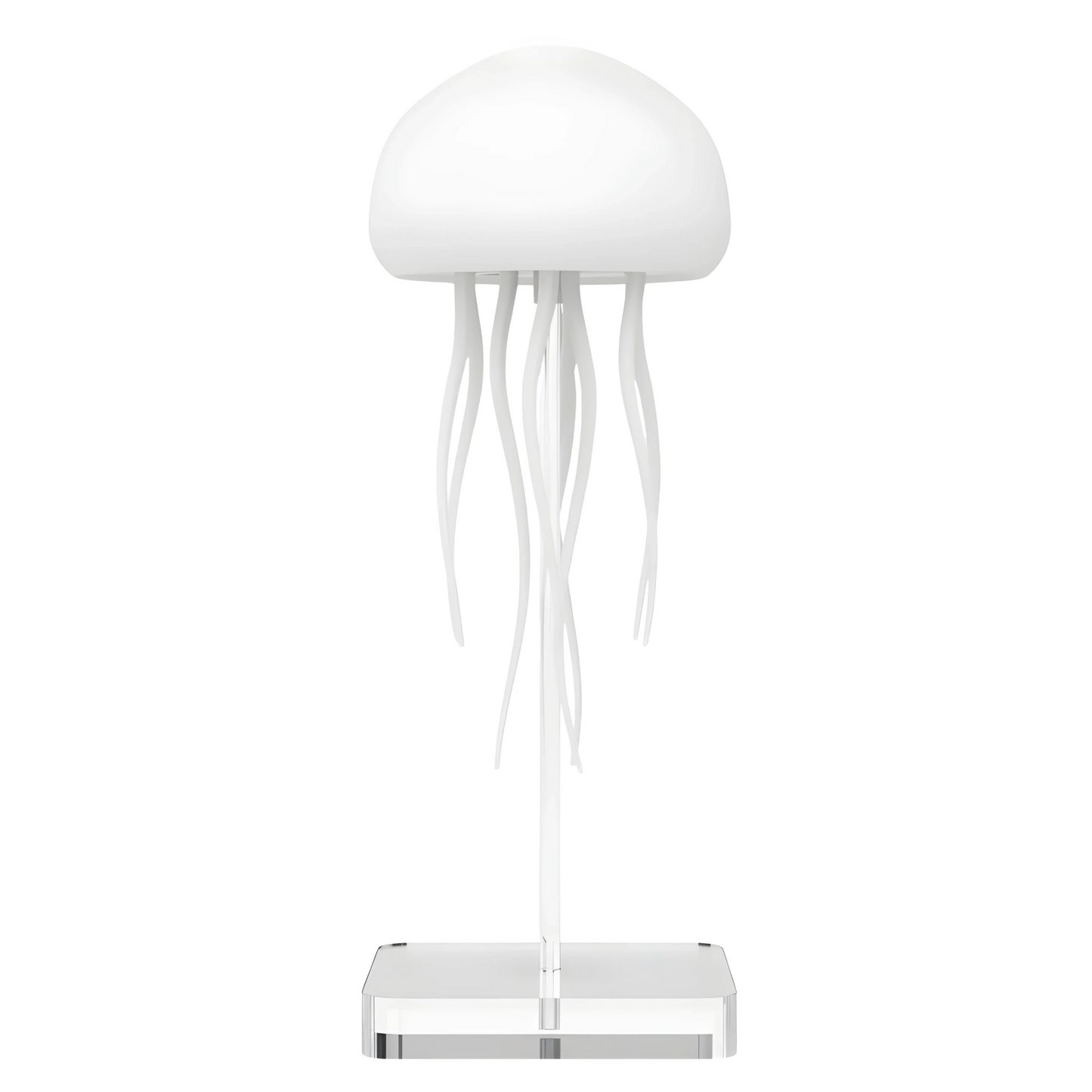 JellyDream